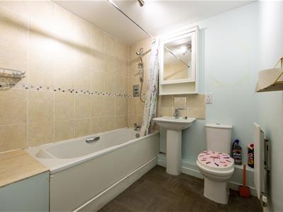 Picture 7
